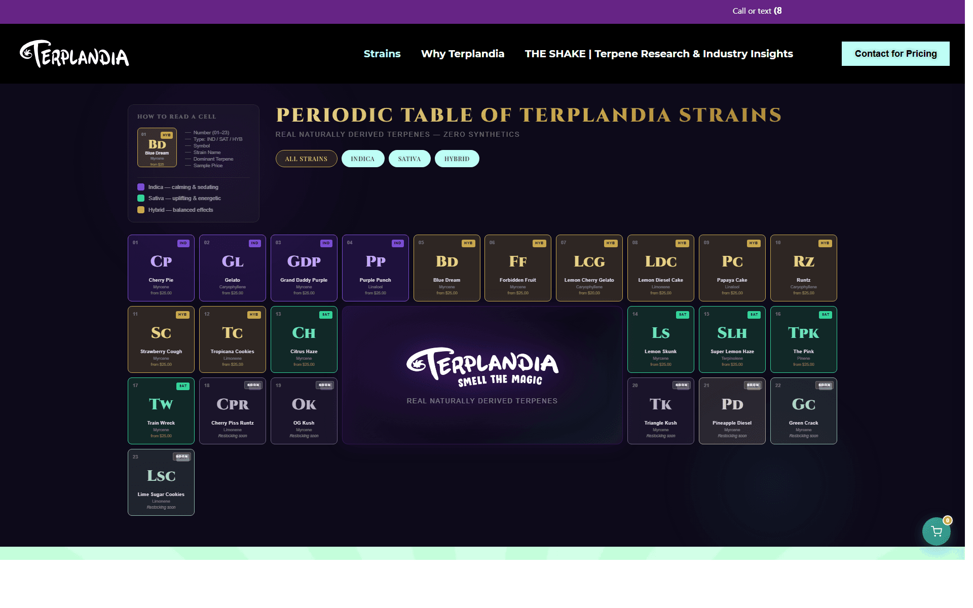Terplandia screenshot